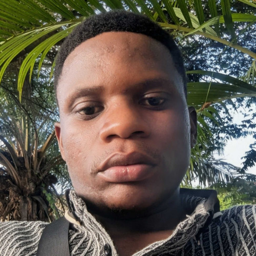 David k. profile photo