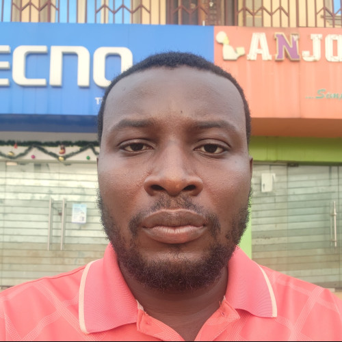 Olawale A. profile photo