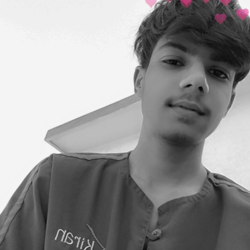Rahul  N. profile photo