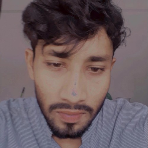 Raju H. profile photo