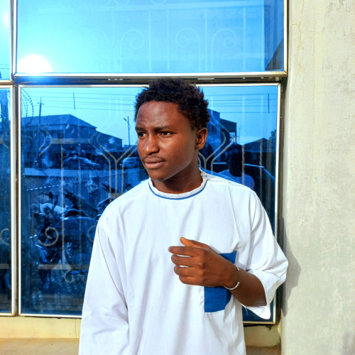 Salisu  A.