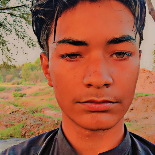 Asim A. profile photo