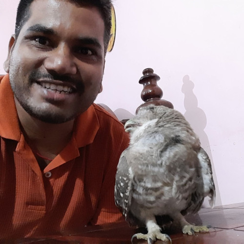Mithilesh K. profile photo