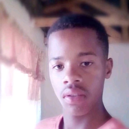 LB Z. profile photo