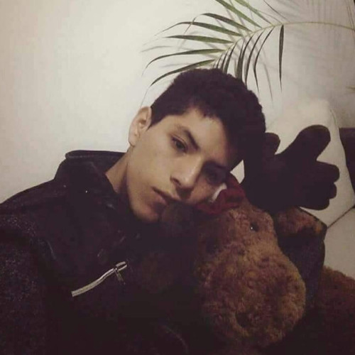 Brando javier H. profile photo