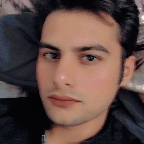 Muhammad  U. profile photo