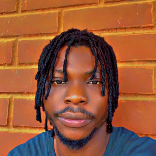 Biodun A. profile photo