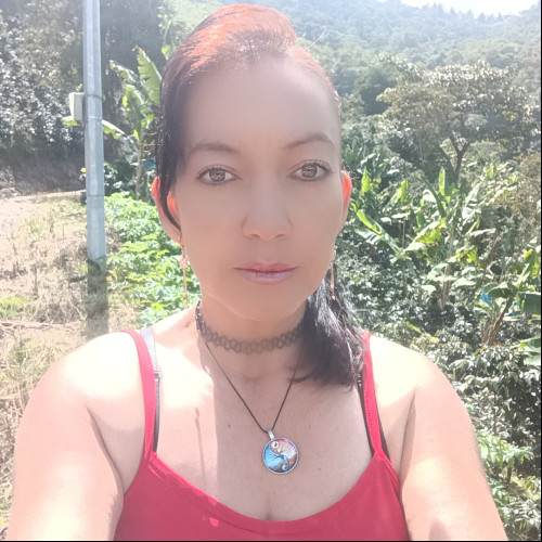 Anavicena  B. profile photo