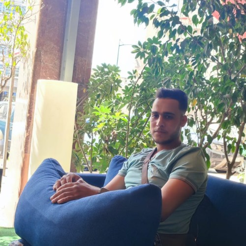 Mohamed F. profile photo