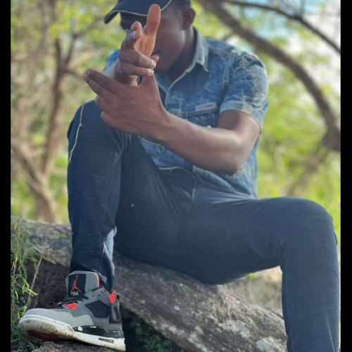 Tinovimbanashe  M. profile photo