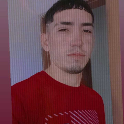 Daniel N. profile photo