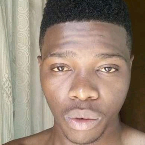 Freddy N. profile photo