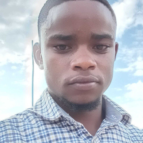 silver m. profile photo