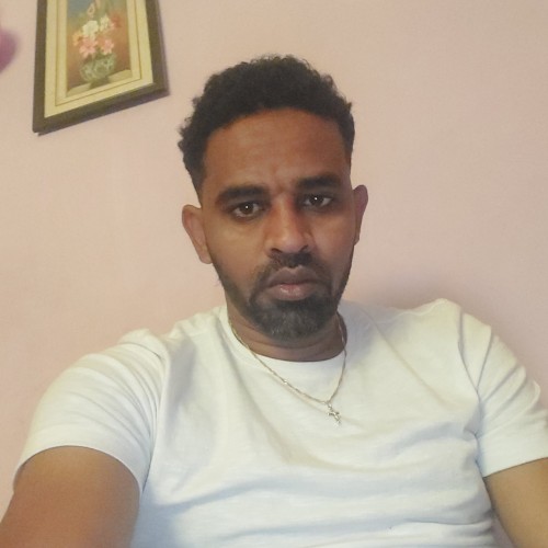 Daniel D. profile photo