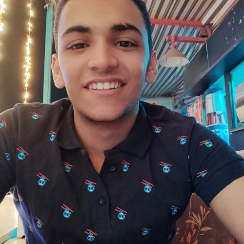 Mostafa M. profile photo