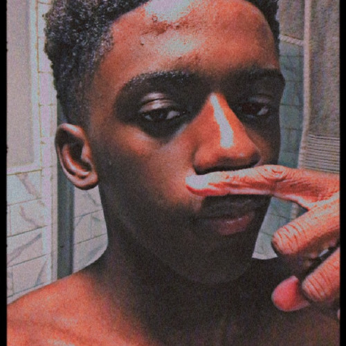 Stefan G. profile photo