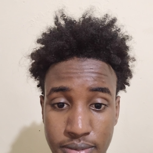 Abdi N. profile photo