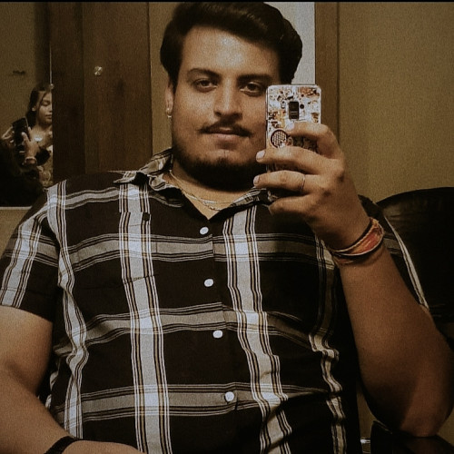 Ansh Singh J. profile photo
