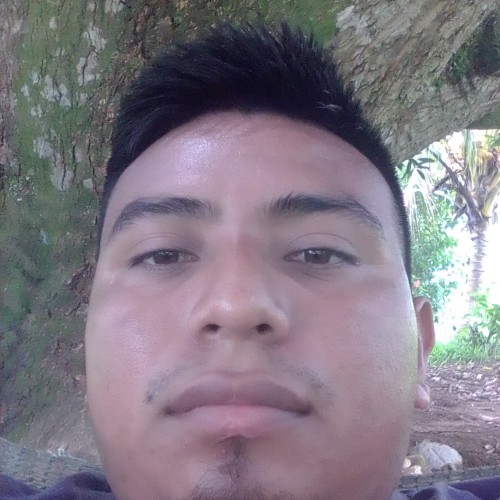 Wil R.