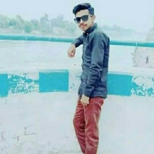 Hashar  M.