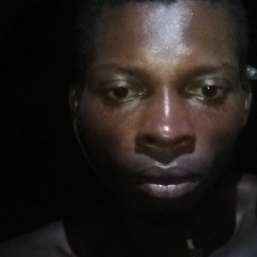 Godwill M. profile photo