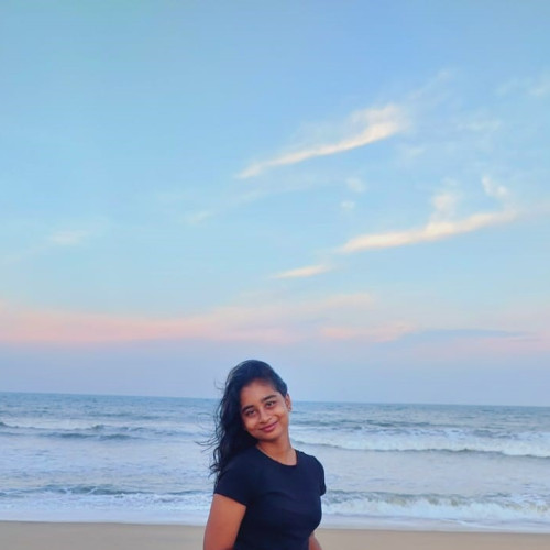 nikethsivani m. profile photo