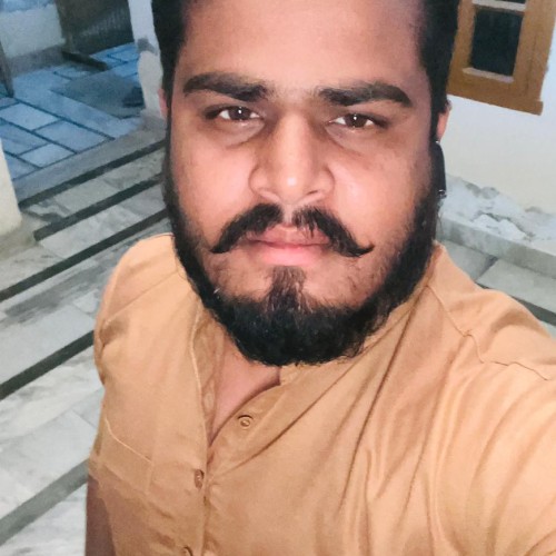 Deepanshu S.