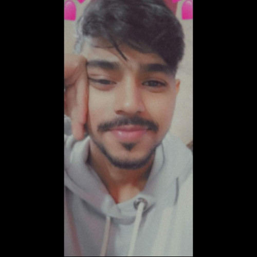 Faiz  R.