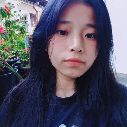 Tshering  Y. profile photo