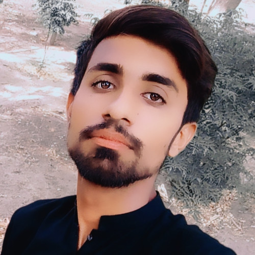 Malik  S. profile photo