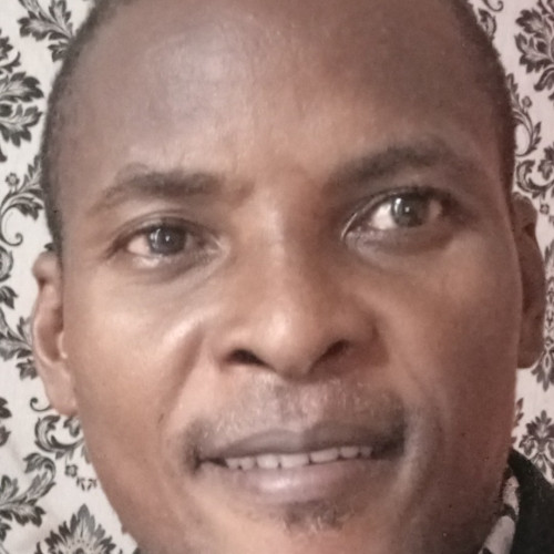 adebayo F. profile photo