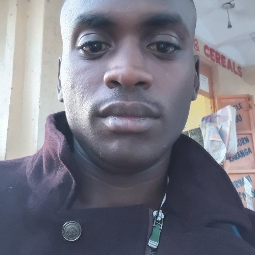 Nelson M. profile photo