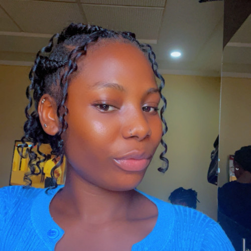 Adesola O. profile photo