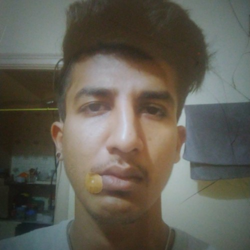 Amar N.