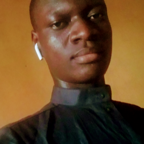 SHUAIB OLALAKAN A. profile photo