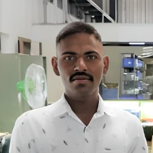vishal p.