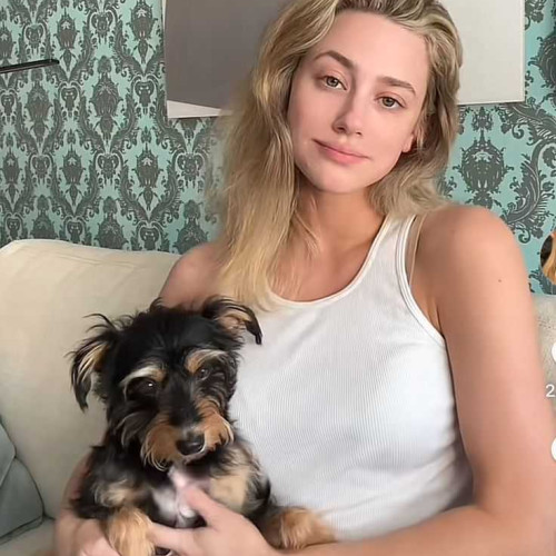 lilly a.