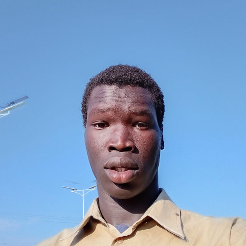 Lam P. profile photo