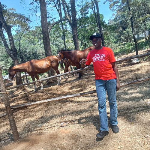 Elvis N. profile photo