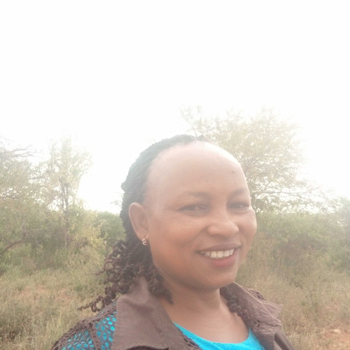 stella N. profile photo