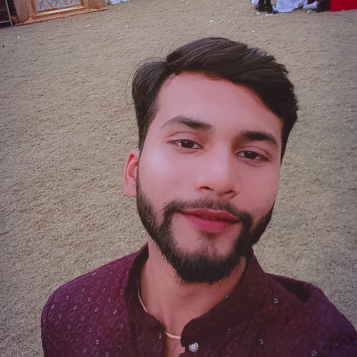 Priyansh S. profile photo