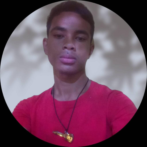 Andoniaina H. profile photo