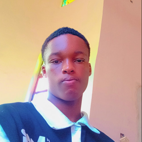 David B. profile photo