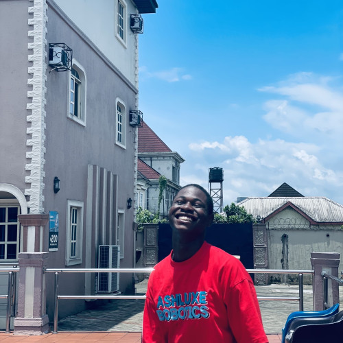 Chisom  U. profile photo