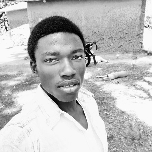 Quincy N. profile photo