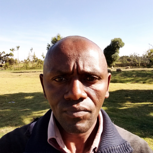 Herman M. profile photo