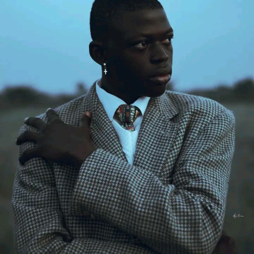 Nelson  N. profile photo