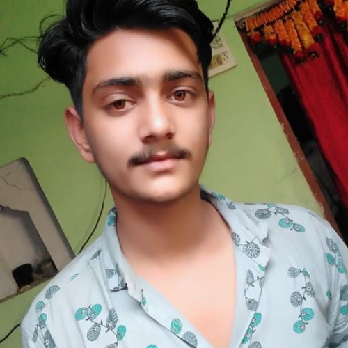 Aryan C.