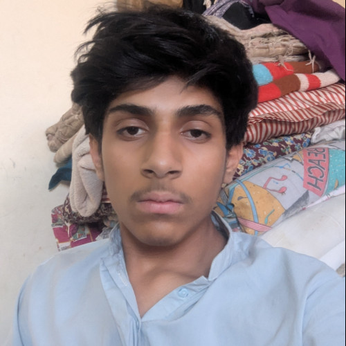 Qasim M. profile photo