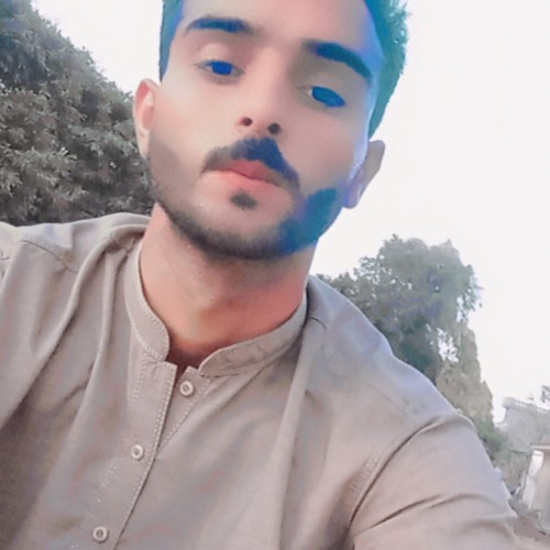 Amir S.